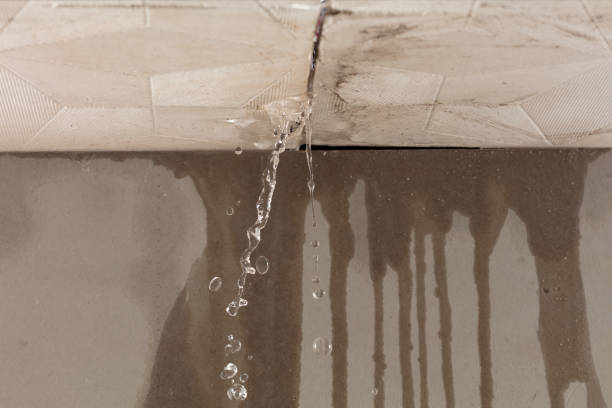 Professional Structural Drying technician working in Baytown, TX